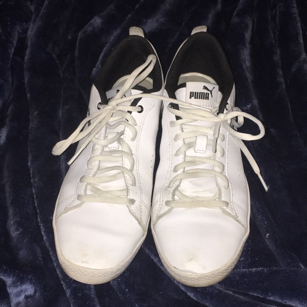 Pumas - Picture 2 of 4